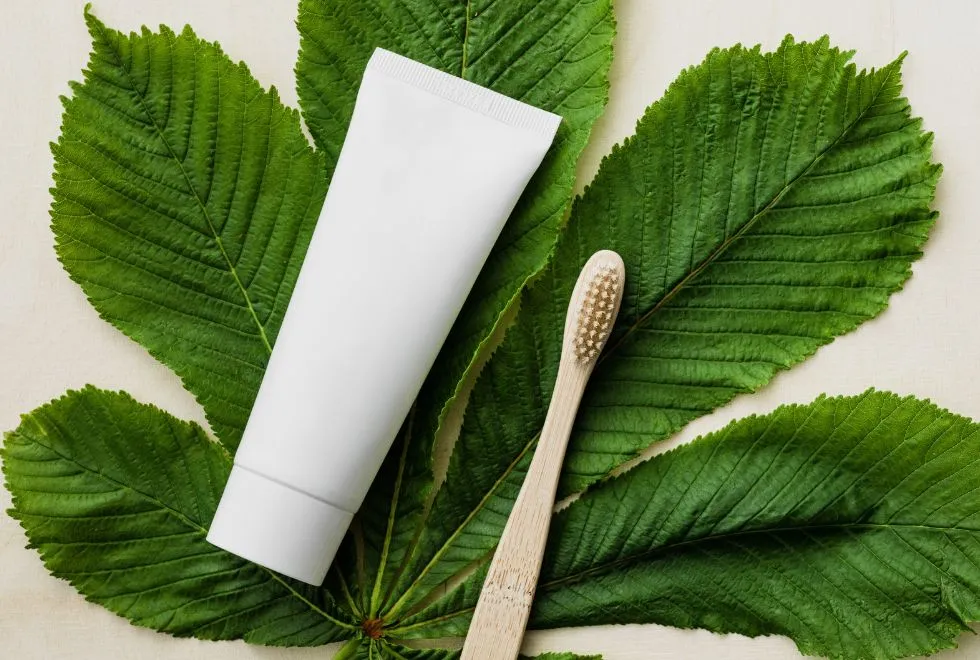 ผงถ่านไม้ไผ่ (Activated Charcoal)