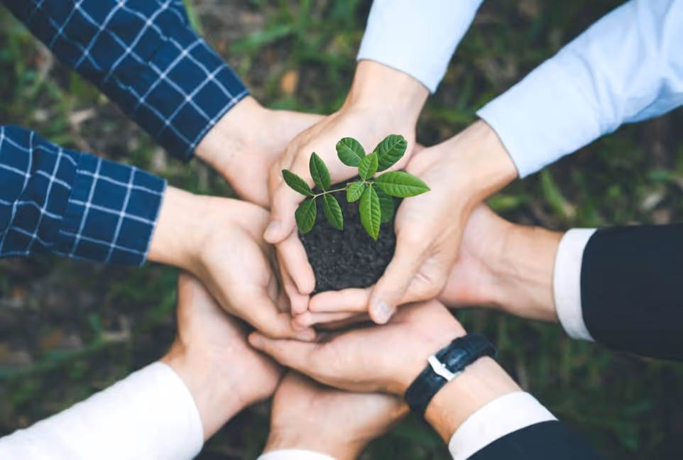 เมื่อพูดถึงการสร้างแบรนด์ในยุคที่ผู้บริโภคให้ความสำคัญกับ สุขภาพ ความปลอดภัย และผลิตภัณฑ์ที่เป็นมิตรกับสิ่งแวดล้อม “แผ่นแปะกันยุง” ก็กลายเป็นไอเทมที่หลายคนเลือกใช้